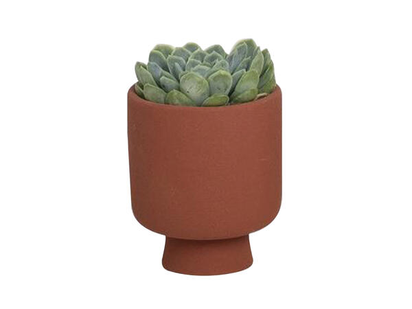 Grøn mini plante i keramik