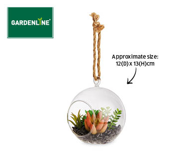 Hanging Terrarium