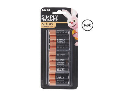 Duracell Batteries Bulk Pack