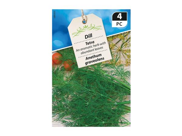 Dill Premium Seeds