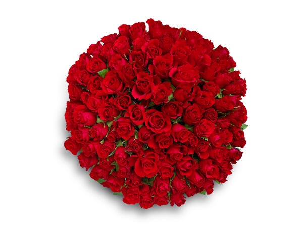 Deluxe 100 Red Roses