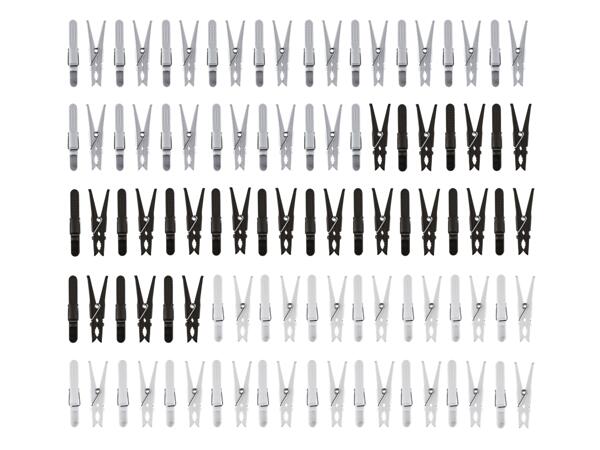 Clothes Pegs or Collapsible Basket with Pegs