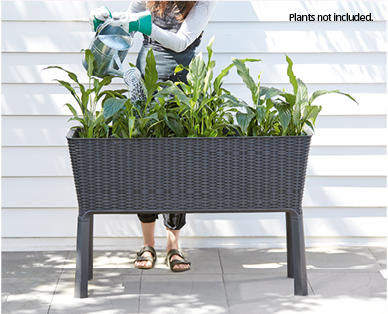 Easy Grow Planter