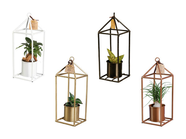 Easy Care Greenhouse