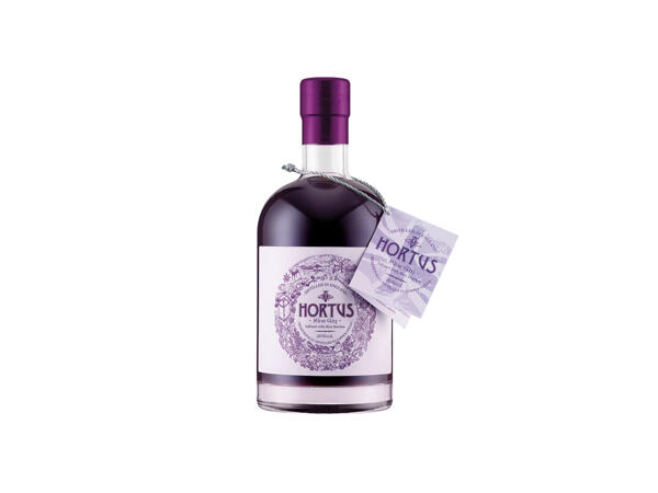 Hortus Artisan Sloe Gin