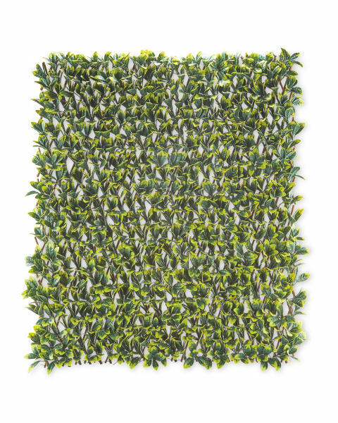 Expanding Laurel Leaf Trellis
