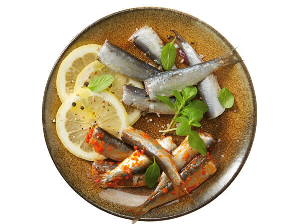 Adria Sardinen mit Gemüse in Sauce