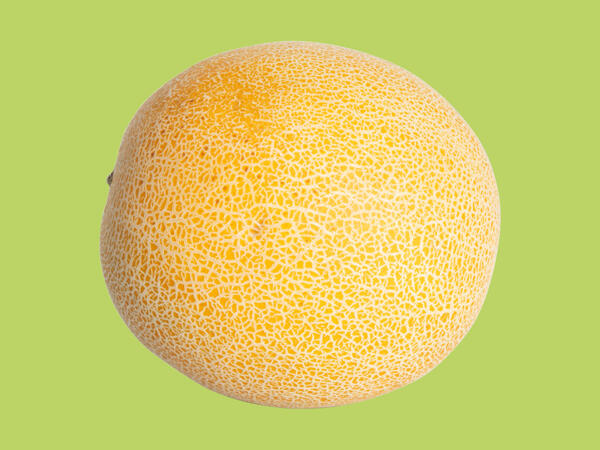 Galia Melon