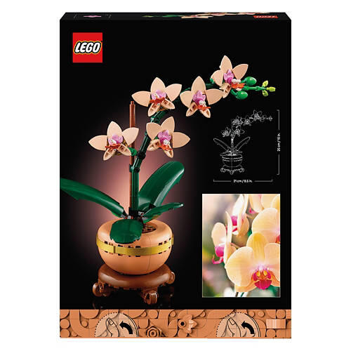 Botanical Premium Building Kit - Mini Orchid