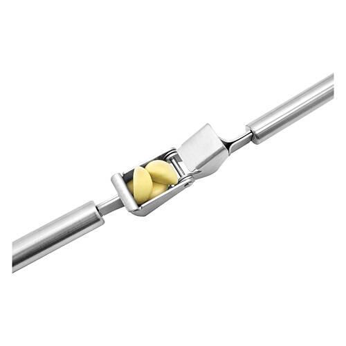 Garlic Press