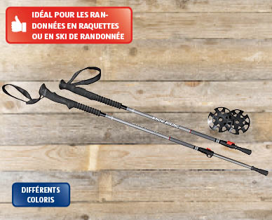 Bâtons de randonnée d'hiver ADVENTURIDGE(R) 