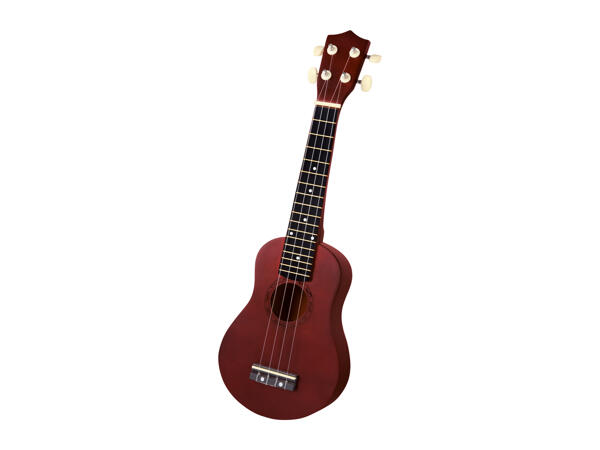 Soprano Recorder / Ukulele Set