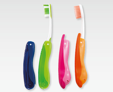 Brosse à dents de voyage DENTOFIT