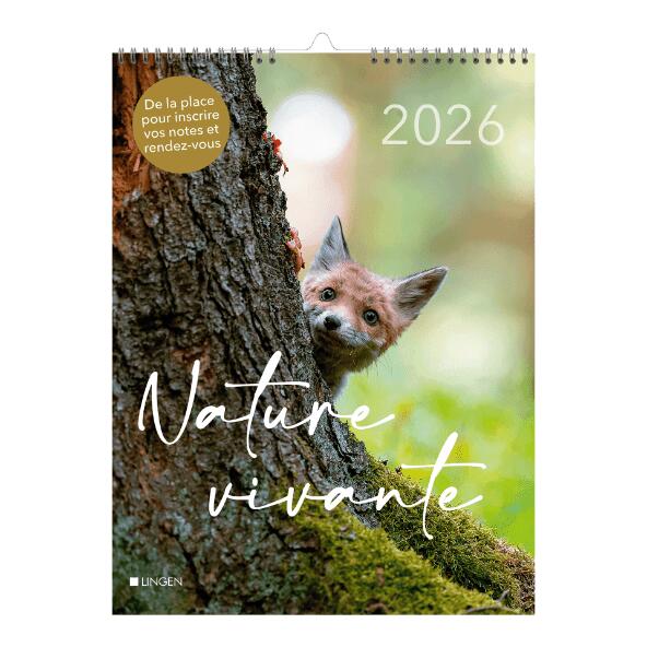 Dekorativer Kalender