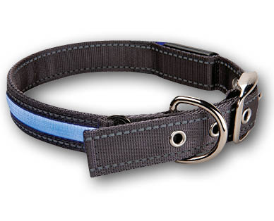 Collier LED pour chiens ROMEO