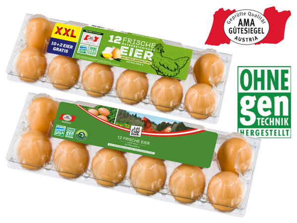 12 Eier aus Freilandhaltung