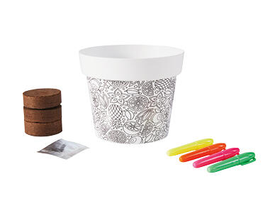 Children's Grow Kit