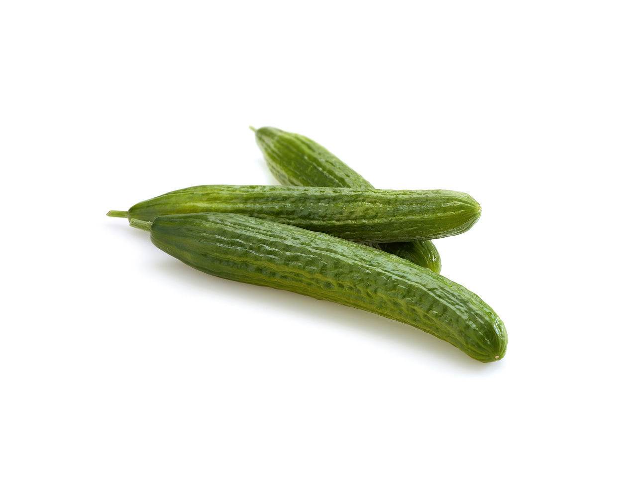 Concombre bio