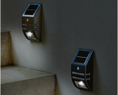 Solar Step or Wall Light
