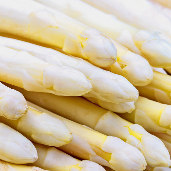 Spargel