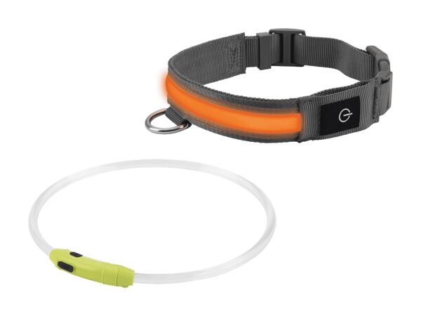 Collier lumineux/collier pour chien à LED