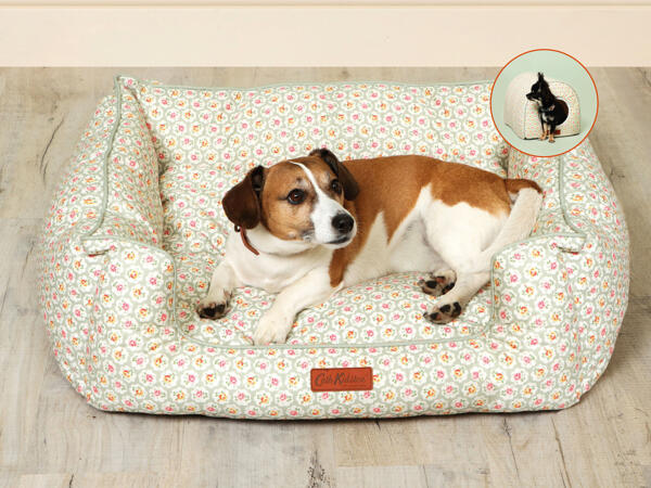 Dog Bed