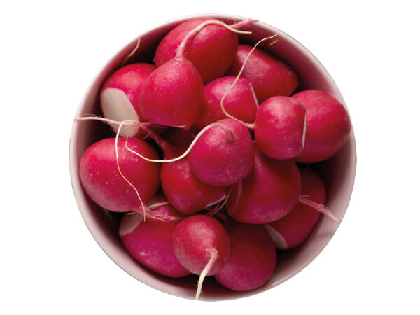 Snack-Radieschen