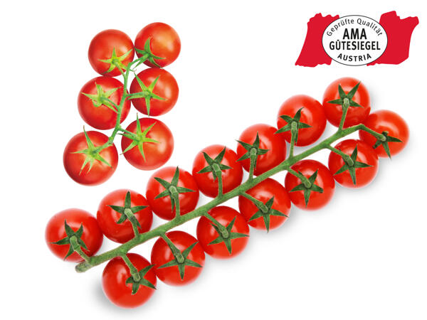 Cherrystrauchtomaten aus dem Burgenland