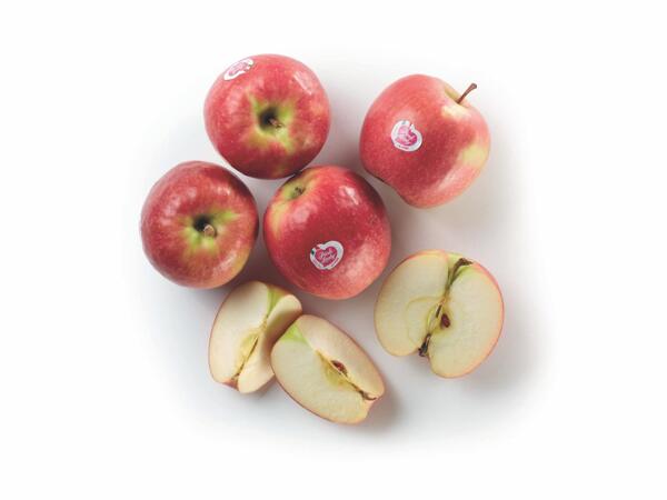 Pink lady apples