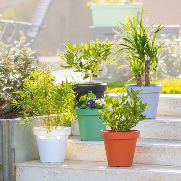 BELAVI(R) 				Pot à fleurs