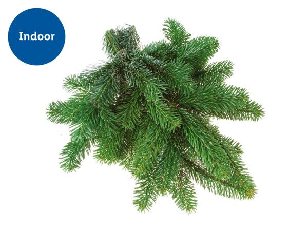 Assorted Seasonal Pine Foliage