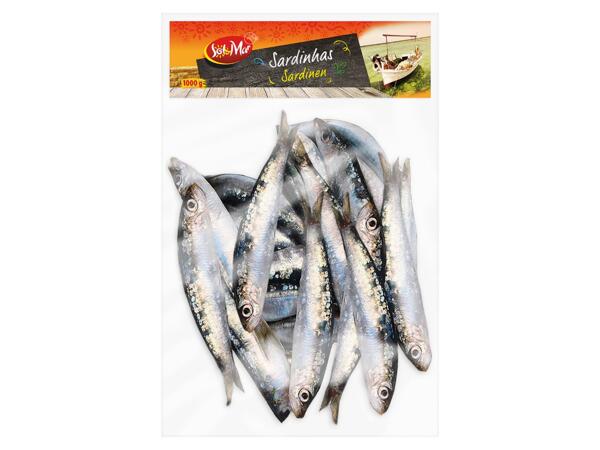 Sardinen