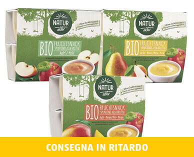 NATUR AKTIV 
 SNACK ALLA FRUTTA BIO