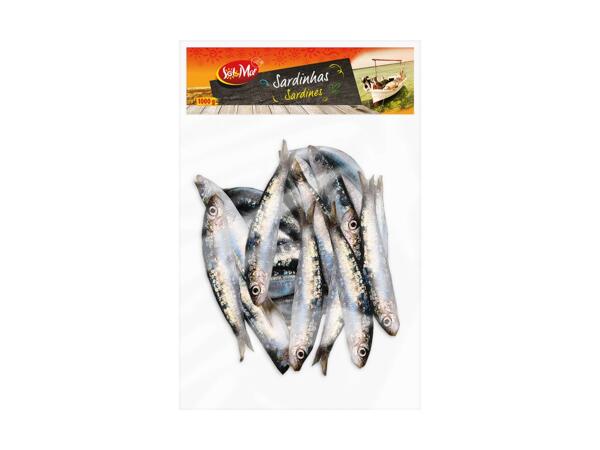 Sardines