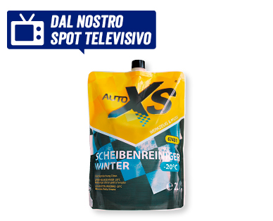 Detergente invernale per vetri AUTO XS