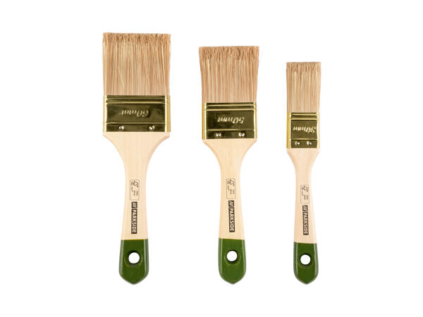 Paintbrush Set