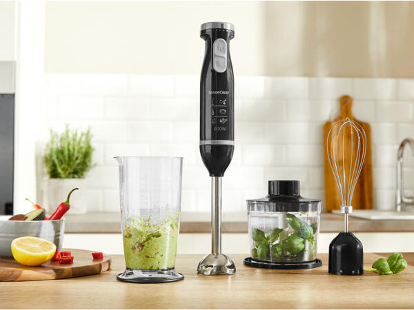 600W Hand Blender Set