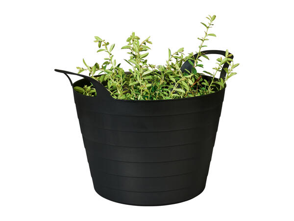 Parkside Gardening Bucket