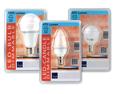 LED Bulb/Candle/Mini Bulb