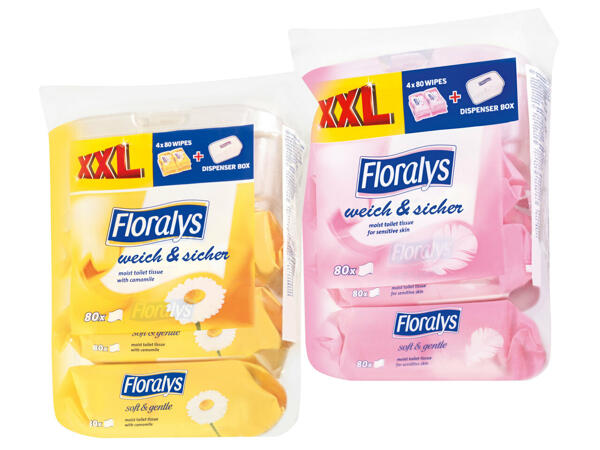 Feuchtes Toilettenpapier mit Box 4x 80 Stk.