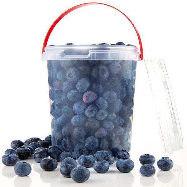 Premium Heidelbeeren