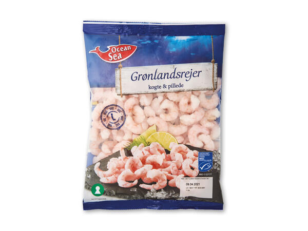 MSC store grønlandsrejer
