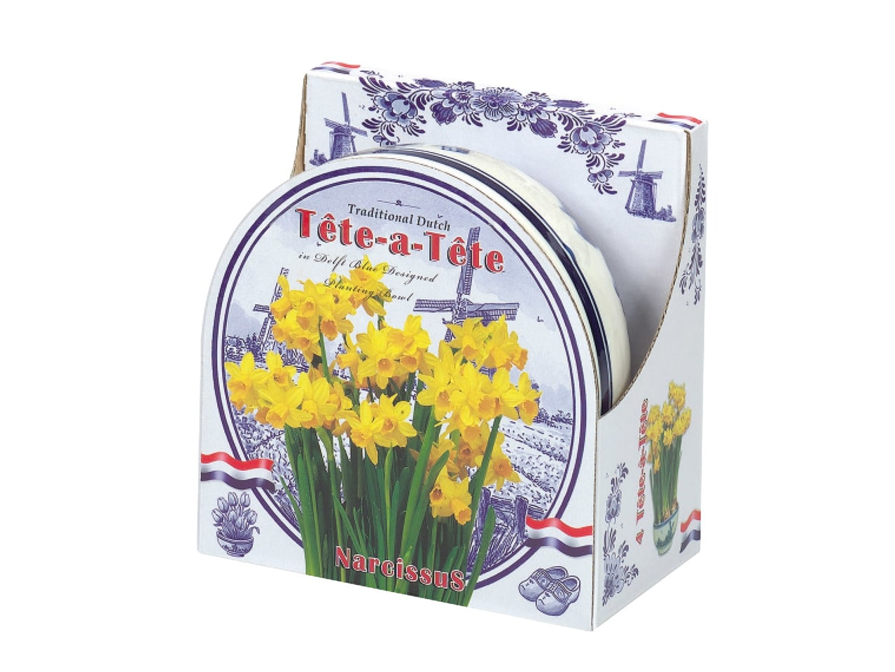 Flowering Bulbs in Ceramic Bowl1