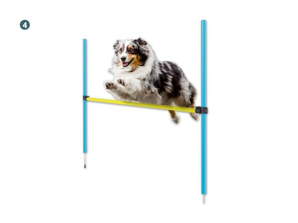 Hunde Agility-Sortiment