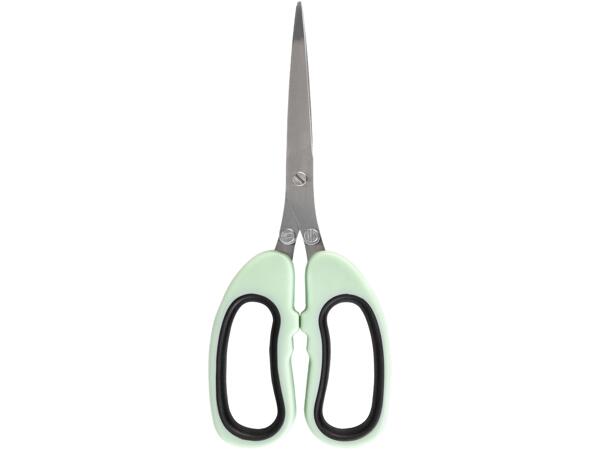 Scissors Set