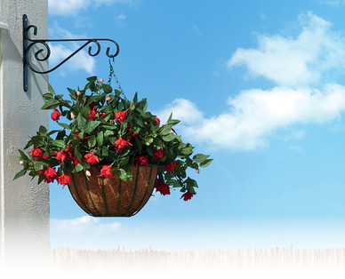 12" Traditional Hanging Basket^