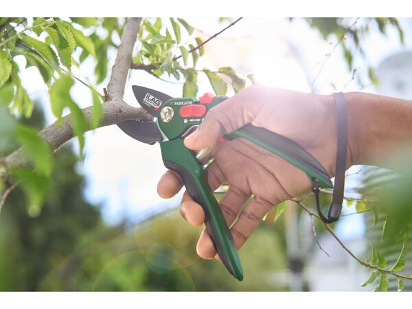 Universal Secateurs / Bypass Secateurs/ Anvil Secateurs