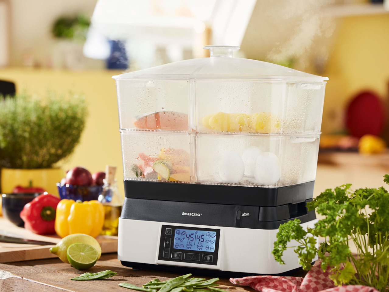 Electric Steamer