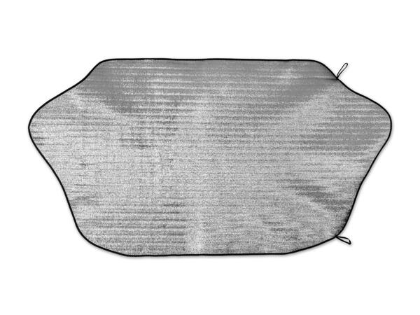 Thermo-Scheibenschutz
