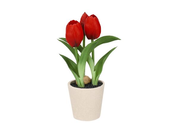 LIVARNO(R) Kunstige tulipaner i potte
